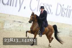 23R13_14204 thumbnail