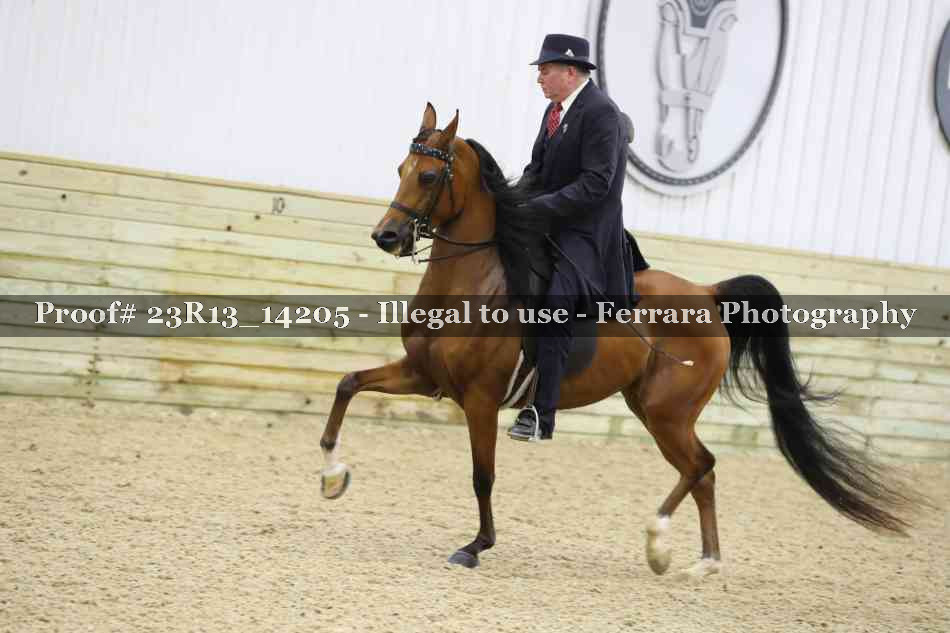 Proof Number 23R13_14205