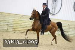 23R13_14205 thumbnail