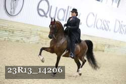 23R13_14206 thumbnail