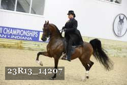 23R13_14207 thumbnail