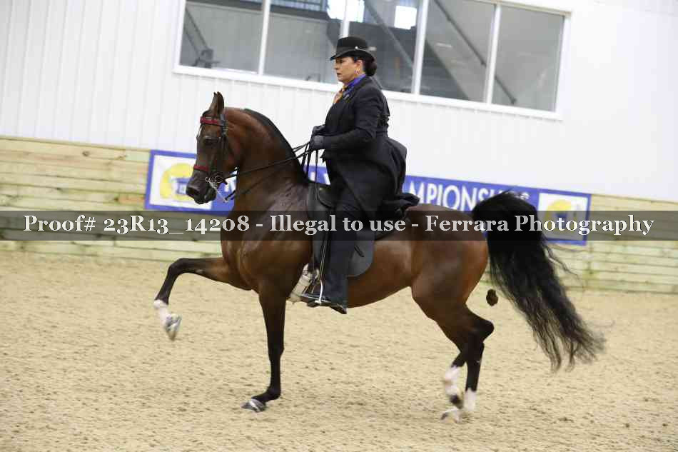 Proof Number 23R13_14208