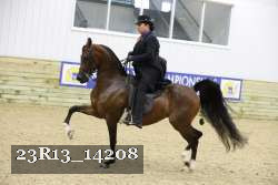 23R13_14208 thumbnail