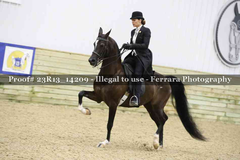 Proof Number 23R13_14209