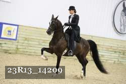 23R13_14209 thumbnail