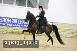 23R13_14210 thumbnail