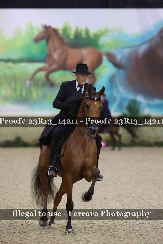 Proof Number 23R13_14211
