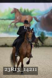 23R13_14211 thumbnail