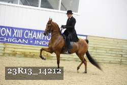 23R13_14212 thumbnail