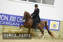 23R13_14213 thumbnail