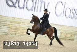 23R13_14214 thumbnail