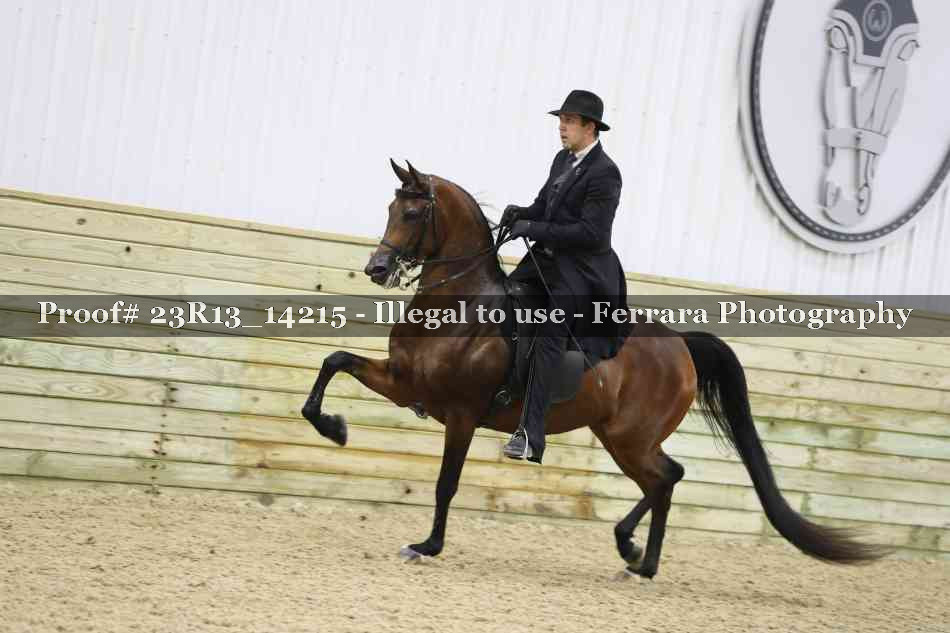 Proof Number 23R13_14215
