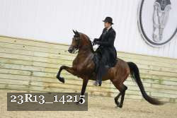 23R13_14215 thumbnail
