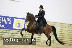 23R13_14216 thumbnail