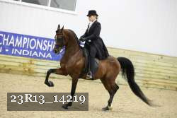 23R13_14219 thumbnail