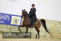 23R13_14220 thumbnail