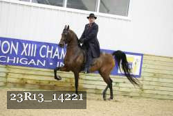 23R13_14221 thumbnail