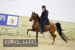 23R13_14223 thumbnail