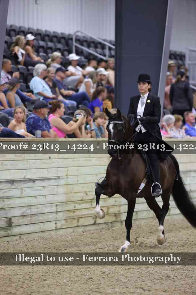 Proof Number 23R13_14224