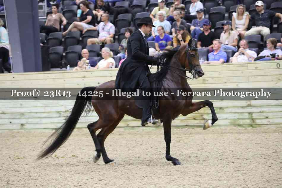 Proof Number 23R13_14225