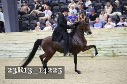 23R13_14225 thumbnail