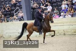 23R13_14226 thumbnail