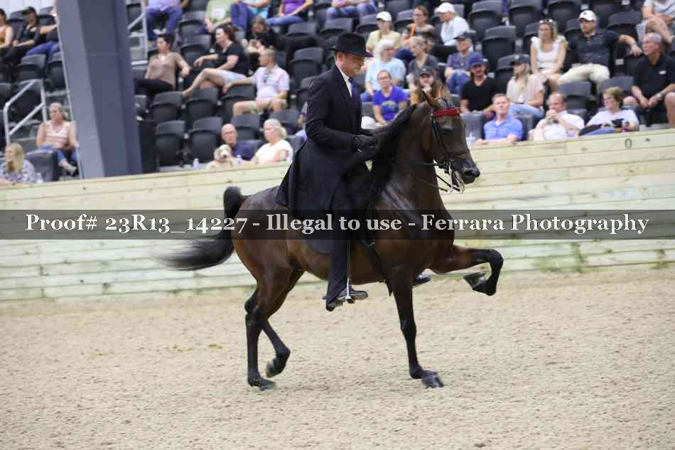 Proof Number 23R13_14227