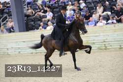 23R13_14227 thumbnail