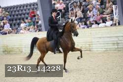 23R13_14228 thumbnail