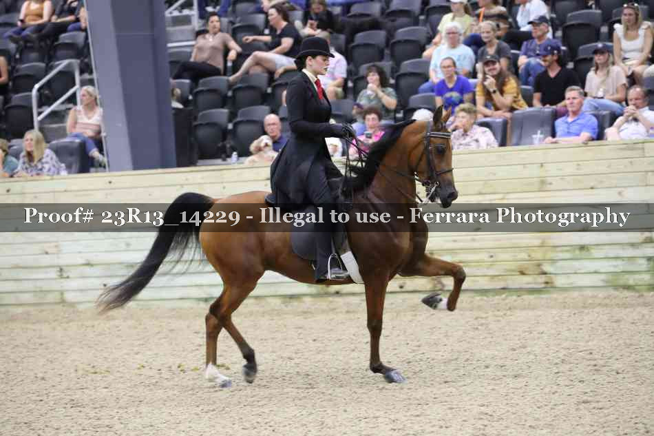 Proof Number 23R13_14229