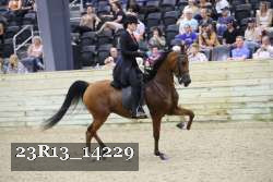 23R13_14229 thumbnail
