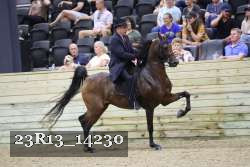23R13_14230 thumbnail