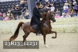 23R13_14231 thumbnail