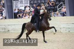 23R13_14232 thumbnail