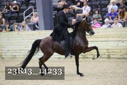 23R13_14233 thumbnail