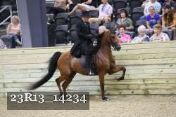 23R13_14234 thumbnail