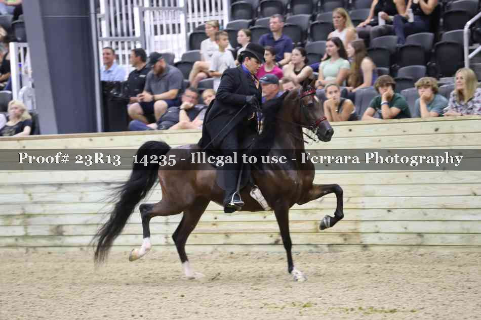Proof Number 23R13_14235