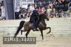 23R13_14235 thumbnail