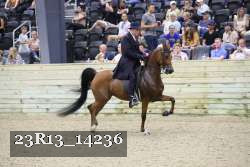 23R13_14236 thumbnail