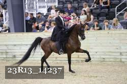 23R13_14237 thumbnail