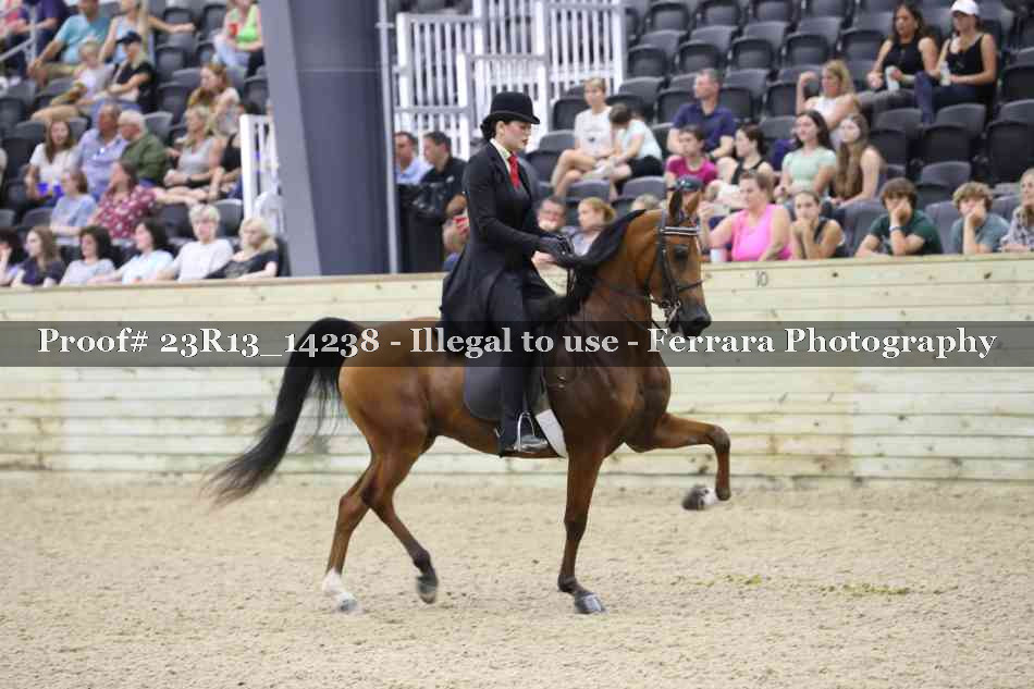 Proof Number 23R13_14238