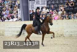 23R13_14238 thumbnail