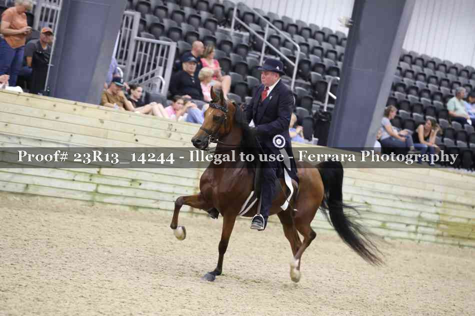 Proof Number 23R13_14244
