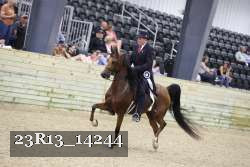 23R13_14244 thumbnail