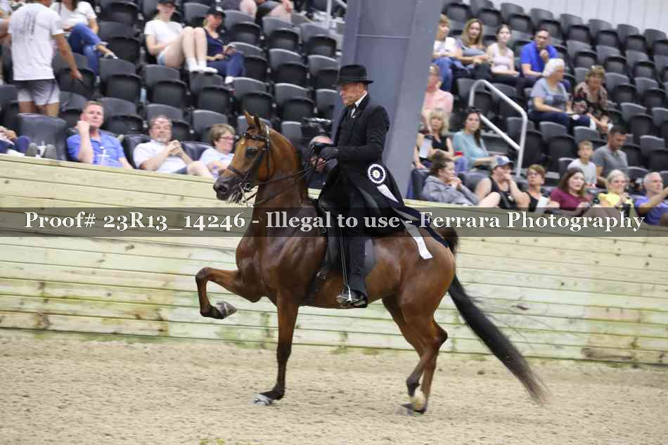 Proof Number 23R13_14246
