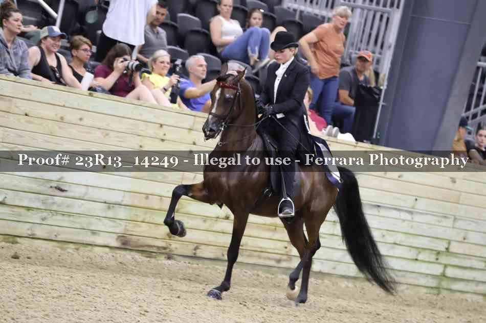 Proof Number 23R13_14249