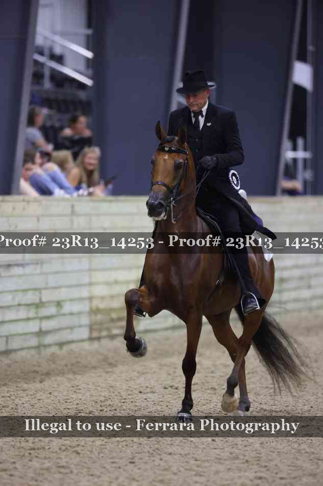 Proof Number 23R13_14253