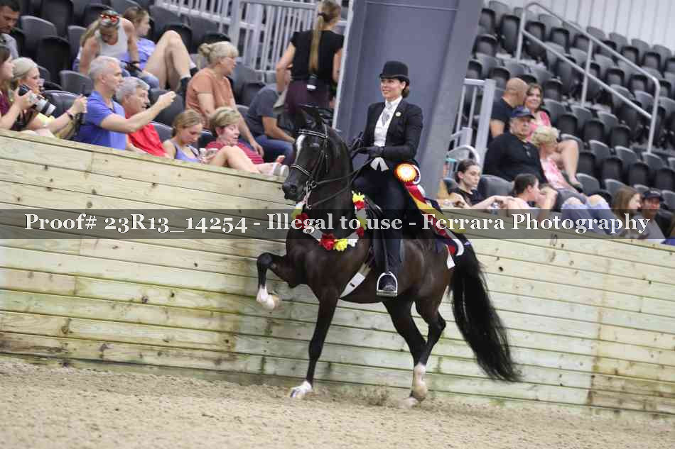 Proof Number 23R13_14254