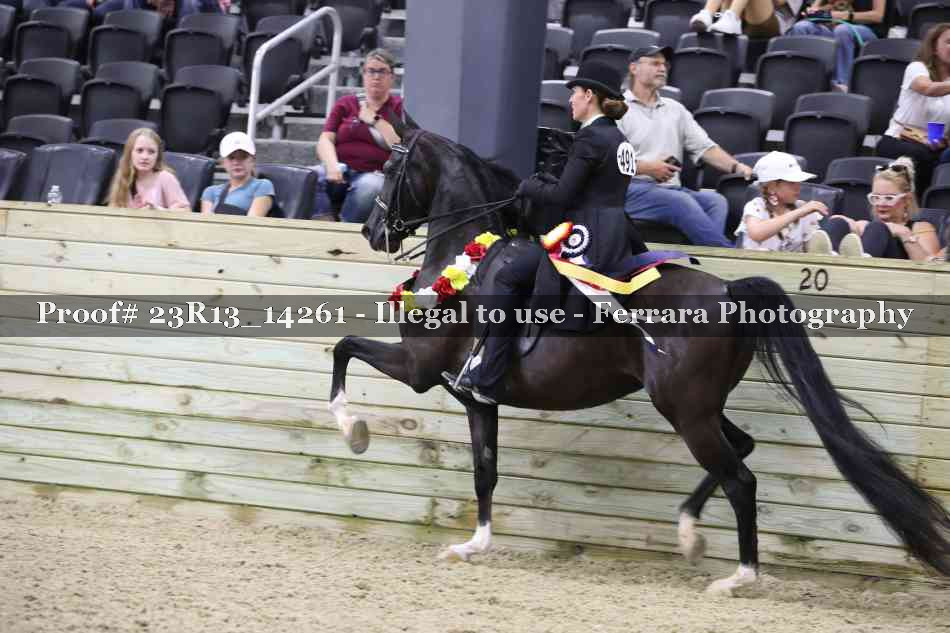 Proof Number 23R13_14261