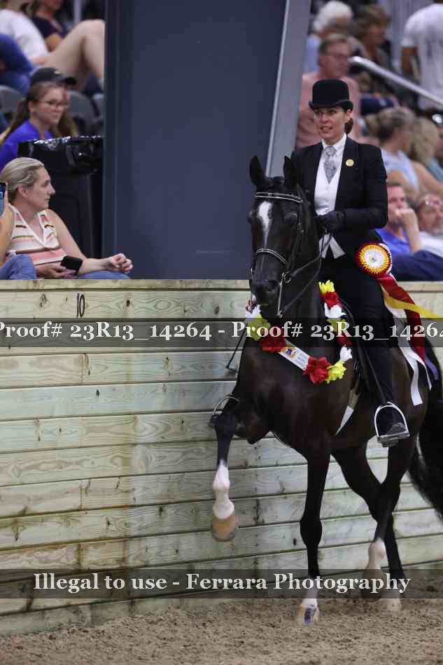 Proof Number 23R13_14264